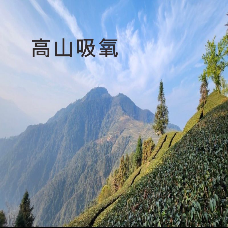 高山吸氧